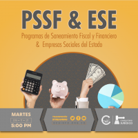 Los Programas de Saneamiento Fiscal y Financiero y las Reestructuraciones de las E.S.E
